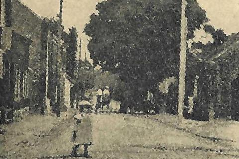 Die Königslinde und das Versprechen - Großkönigsdorf, um 1870